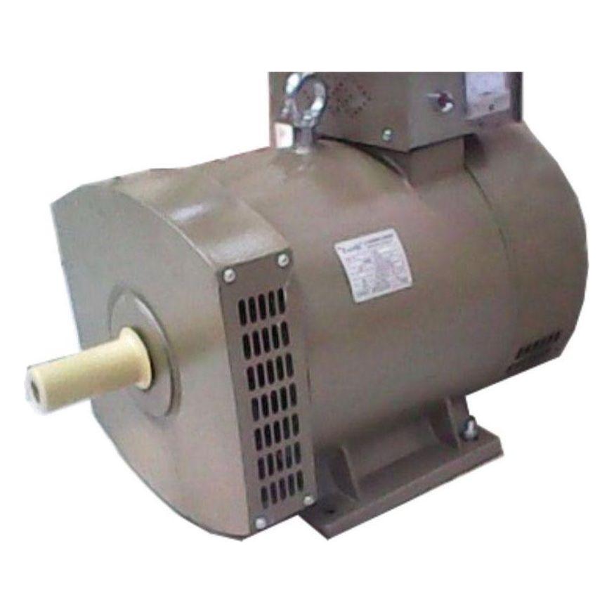 Zacchi Alternator Electric Motor (ST Series) - Goldpeak Tools PH Zacchi Zacchi Alternator Electric Motor (ST Series) - Goldpeak Tools PH Zacchi